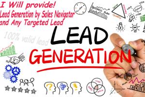 Portfolio for Lead Generation and Data entry expert